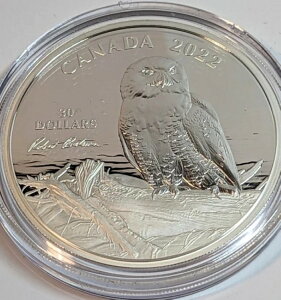 2022NJi_ 2IX  30h ؂ɂƂ܂VtNE o[gExCg}А 4500????