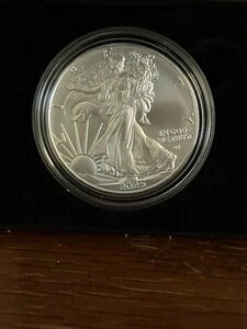 AJC[O 2025 EFXg|Cg (W) 1IX ݁iʁj