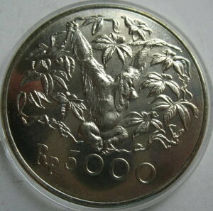 ChlVA 5000 sA 1974 UNC Vo[ RC RTx[V V[Y IE[^