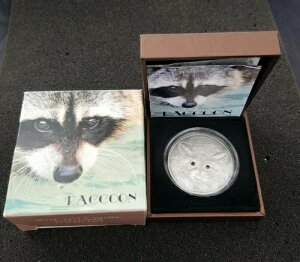 okAc 2013N ACO} X̓ 1/2IX Vo[RC AeB[Ndグ COA 20 VAT