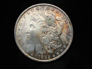 1885NKE_[ - ٓIȃfBe[Ƒf炵RȐF