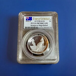 2016N I[XgAY JK[Vo[ 1IX nC[t 1h PR70DCAM s116