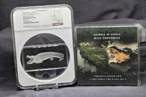 2021�N 1�I���X �\���������� - �A�t���J�̓��� - �i�C�����j�R�C�� NGC REV PF70