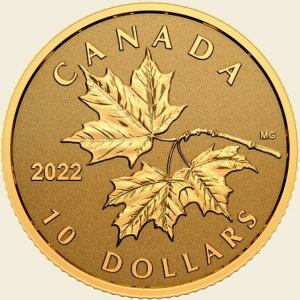 2022N 10h 1/20IX - ĩ[v[t - o[Xv[t!