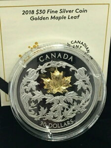 2018NJi_h 30h 2IX  S[f[v[t