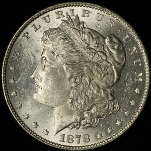 1878�N�� $1 7TF 78�����K����݂̗��� - �ǍD�ȑō� - �č���������