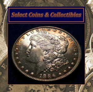 1886�N BU++ �����K����� VAM 1A TOP 100 VAM �}���`�J���[�g�[�j���O�I#3150