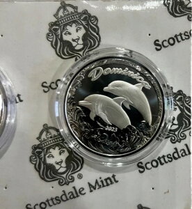 2023�N �h�~�j�J �h���t�B��??????1�I���X .999 �V���o�[�R�C�� �v���[�t���C�N BU