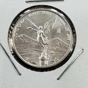 2000N LVR x^bh 1/10IX  Vo[ .999 L[f[g ~jA