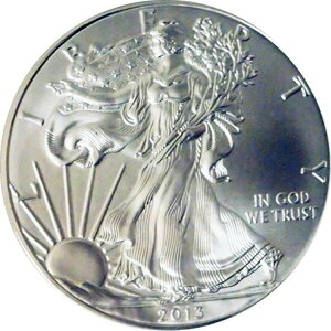 2013N AJ Vo[ C[O h BU 1IX ʋ