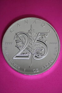 Gem BU 2013 Ji_h 5h 1IX Vo[ [v[t RCiʐ^j CAF01