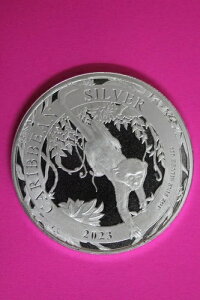 Gem BU 2023 oohX L[ 1IX Vo[RC .999  $1.00 ʐ^07ƓRC