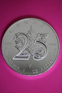 Gem BU 2013 Ji_h 5h 1IX Vo[ [v[t RCiʐ^QƁj CAF15