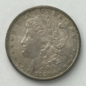 1921N 1h K ʕi - ʃCgg[