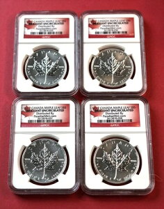 2012NJi_Vo[[v[t - VAio[ANGC BU - 