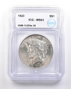 1923�N�s�[�X�V���o�[�_���[VAM-1V�G���[�g30MS63 ICG�G�N�X�g���w�A*4713