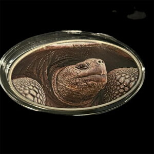 jEG TEW[WE^[g KpSX  2h 2015N