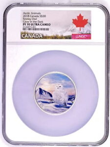 2018N 30h kɂ̓ƃI[FVtNE - NGCO[h