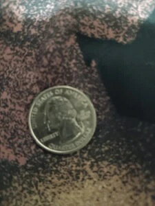 2022N P EB}E}L[ NH[^[i󏭃RCjuIN COD WE TRUSTvG[