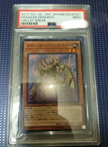 VY VYJ[hPSA fGX^[Y A NE[ fhCg