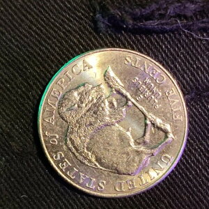 ??2005�N D�~���g�j�b�P�� - �~�`�N���b�h�G���[�t���o�b�t�@���[5�Z���g�R�C��