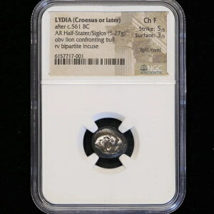 󏭂ȃMṼfBAqY IO560N AR n[tXe[g VOX CH F XgCN 5/5 NGC