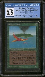 }WbNFUEMUO x[^ Birds of Paradise CGC 3.5  x/pɂɃvCꂽ MP/HP