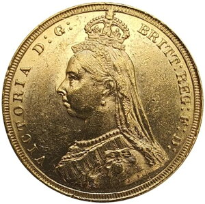 1887-M BNgAWr[wbh݃\u - (Ɋ) DISH M1