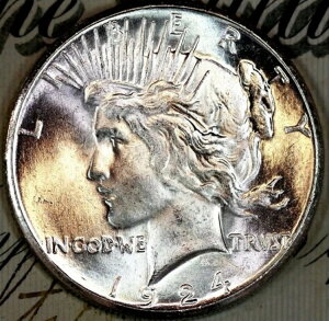 1924-S IWiRNV̐Vi+ΕtBU MSs[XVo[h DC30