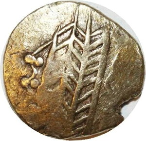 CD0751  S[YE[N gD[ELEhEX^e[ En -100S[h-