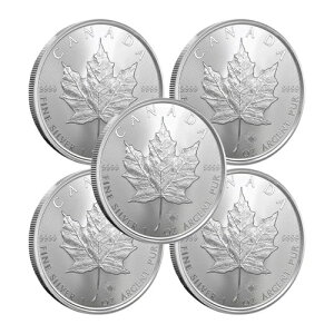 2025N 1IX Ji_ [v[t݁iBU - 5Zbgj