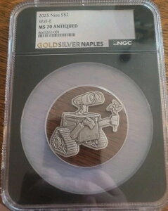 2025N 2h jEG + fBYj[ 1.5IX 999 Vo[ AeB[N EH[[ RC MS70 NGC 5001