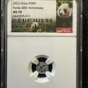 2022N  30 1O v`i p_RC NGC MS70 40NLO  A