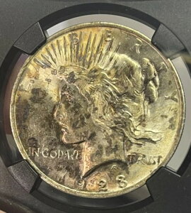 1923 年ピース ダラー オリジナル バッグ フラグメント NGC MS63 トーン ブリリアント 未流通。