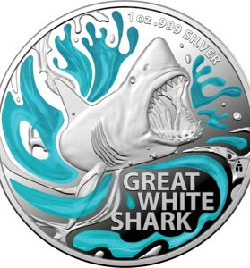 2022NI[XgA 5h zzWU Vo[ v[t J[RCB