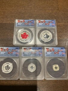 �J�i�_ �V���o�[ 2015 �t���N�V���i���Z�b�g ANACS RP70 DCAM ���o�[�X�v���[�t $1 $2 $3 $4 $5