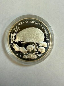 |[h 20YEHeB` 1996N  v[tRC nlY~Ǝ IWiJvZ