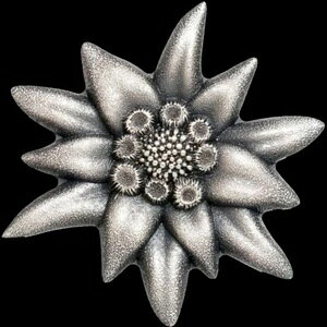 G[fCX }EeX^[  Vo[ v[t |pi 1IX RC