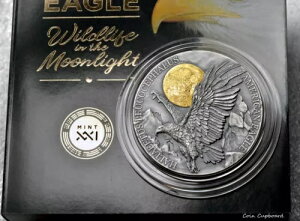 2022N - ̒̃K[i̖쐶 - AJC[O - 2IX