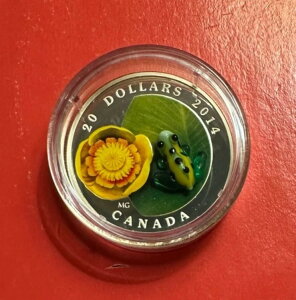 20h 2014N Ji_ @ƃqEKG Vo[ v[t