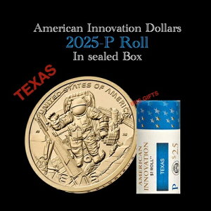 2025-P �A�����J���E�C�m�x�[�V�����E�h�� �e�L�T�X - �~�b�V�����R���g���[��?? ���J���~���g���[��