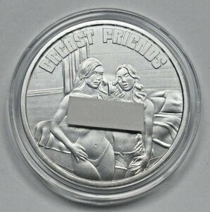 STL ~g XpCV[ uXg tY 1IX .999 Vo[ Eh COA t (s 500 )