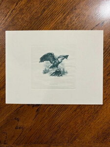 BEP ň ~g X[xjAJ[h B72 C[OEIEbN Blbgi΁j v[t