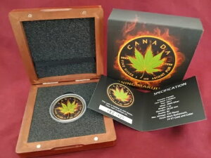 Ji_ CfBJ 喃 Ră}t@i  JifBA [v[t 2017