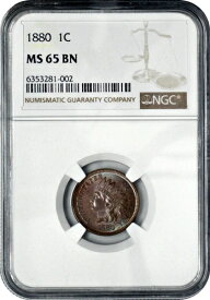 1880年インディアンヘッドセント1セントペニーNGC MS65 BNブラウンジェム未使用