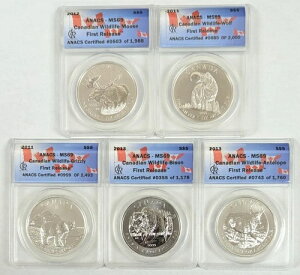 2011N2013N Ji_ 5h Vo[ ANACS MS69 쐶V[Y t@[Xg[X 5Zbg