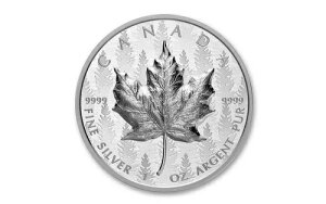 2024N Ji_ 20VK|[h [v[t  X̖쌴 NGC o[X