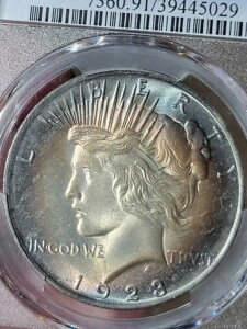 1923N 1h s[X_[ PCGS Ӓ ڍ...F͕s...g[