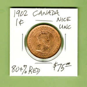 Ji_ - sȗjIGh[h7uY1ZgA1902NAKM# 8