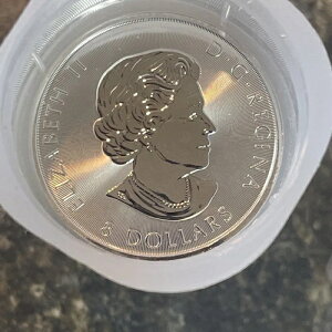 2016�N 1.5�I���X �J�i�_�Y�V���o�[ �z���C�g�t�@���R�� 8�h�� �R�C�� .9999 �t�@�C�� BU